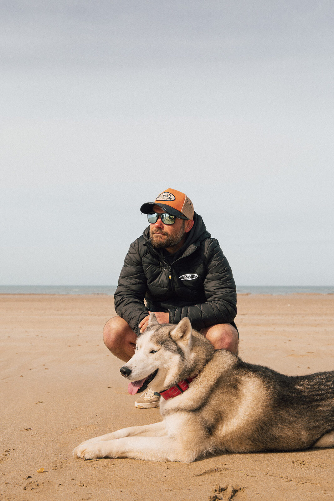 Le loup de la meute